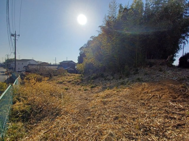 東松山市上野本土地627坪の外観|山林部分