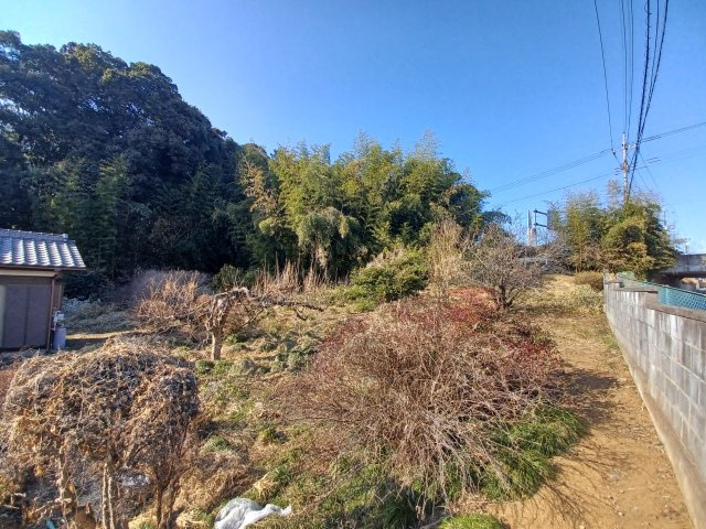 東松山市上野本土地627坪の外観|山林部分