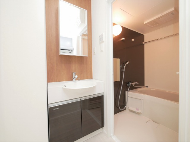 大阪市生野区中川１丁目の賃貸マンションの洗面所