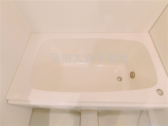 ステージグランデ蒲田アジールコートの浴室