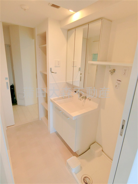 ステージグランデ蒲田アジールコートの洗面所