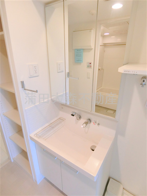 ステージグランデ蒲田アジールコートの洗面所