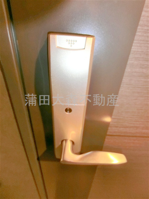 ステージグランデ蒲田アジールコートの玄関