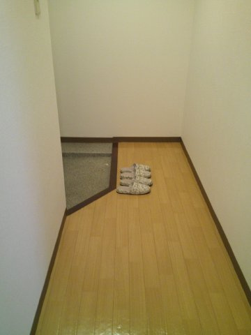 大阪市中央区上汐１丁目の賃貸マンションの玄関