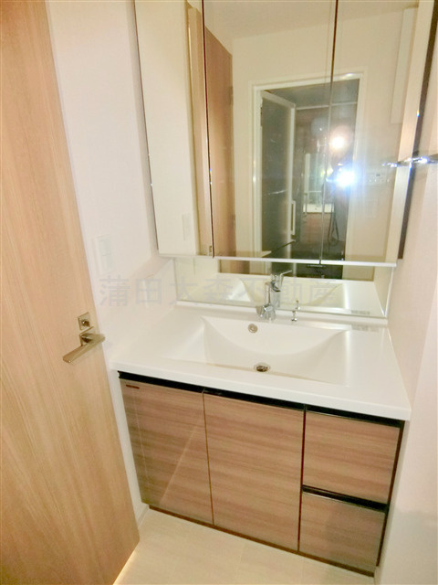 フレンシア蒲田の洗面所