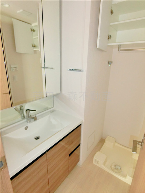 フレンシア蒲田の洗面所|独立洗面台