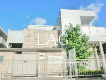 パラディスの画像