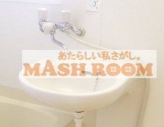 鹿野荘の洗面所