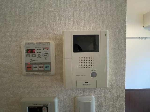 テレシーナのセキュリティ