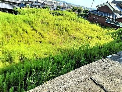 倉敷市船穂町船穂の売地