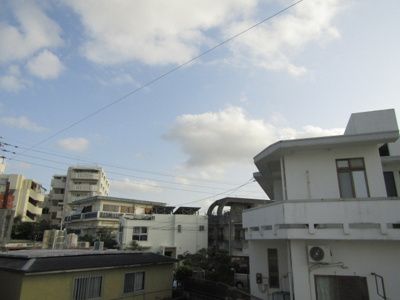  | エスペランサマサ | ※別室参考写真使用