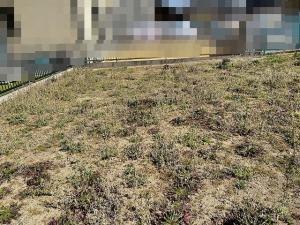 西尾市中畑町前山の売地