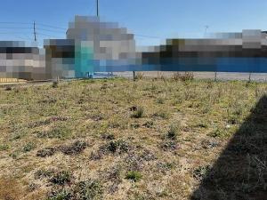 西尾市中畑町前山の売地