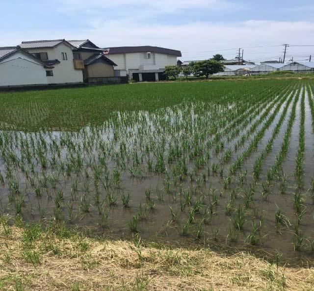 岡崎市上青野町字城屋敷の売地