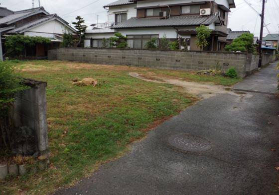 西条市神拝の売地