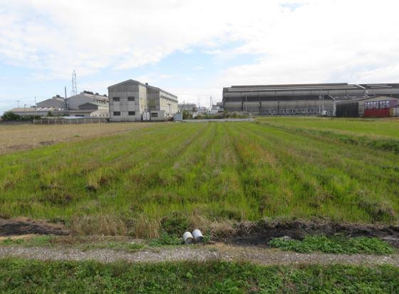 西条市港の売地
