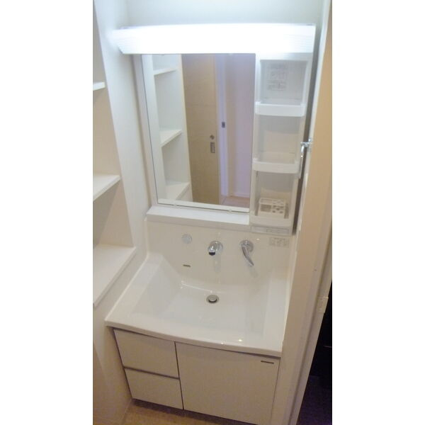 サリジェール瑞穂の洗面所