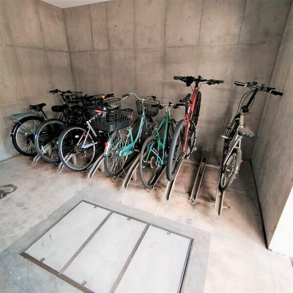 カメリアのその他