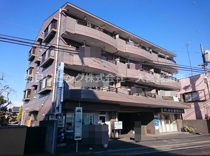 エクセルなみきの画像