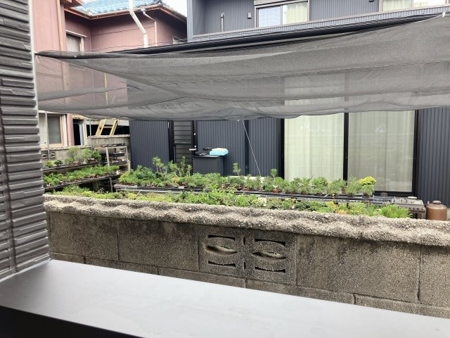 Jack shinkaiⅣの展望
