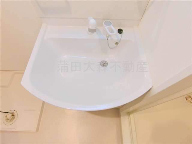 グランヴァン多摩川の洗面所