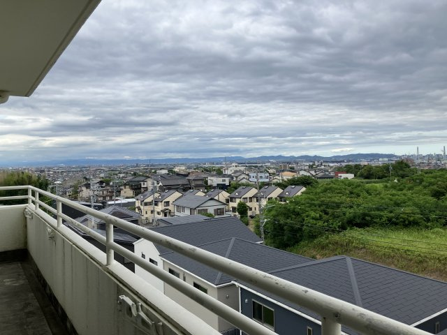 大豊ヒルズの展望