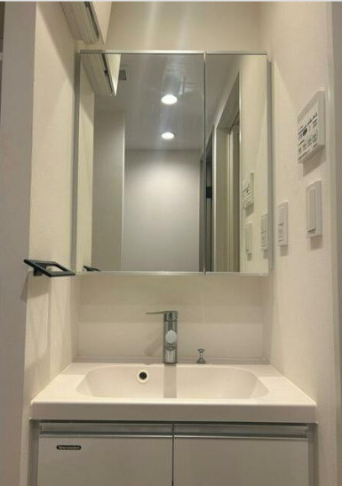 レクス武蔵小山の洗面所