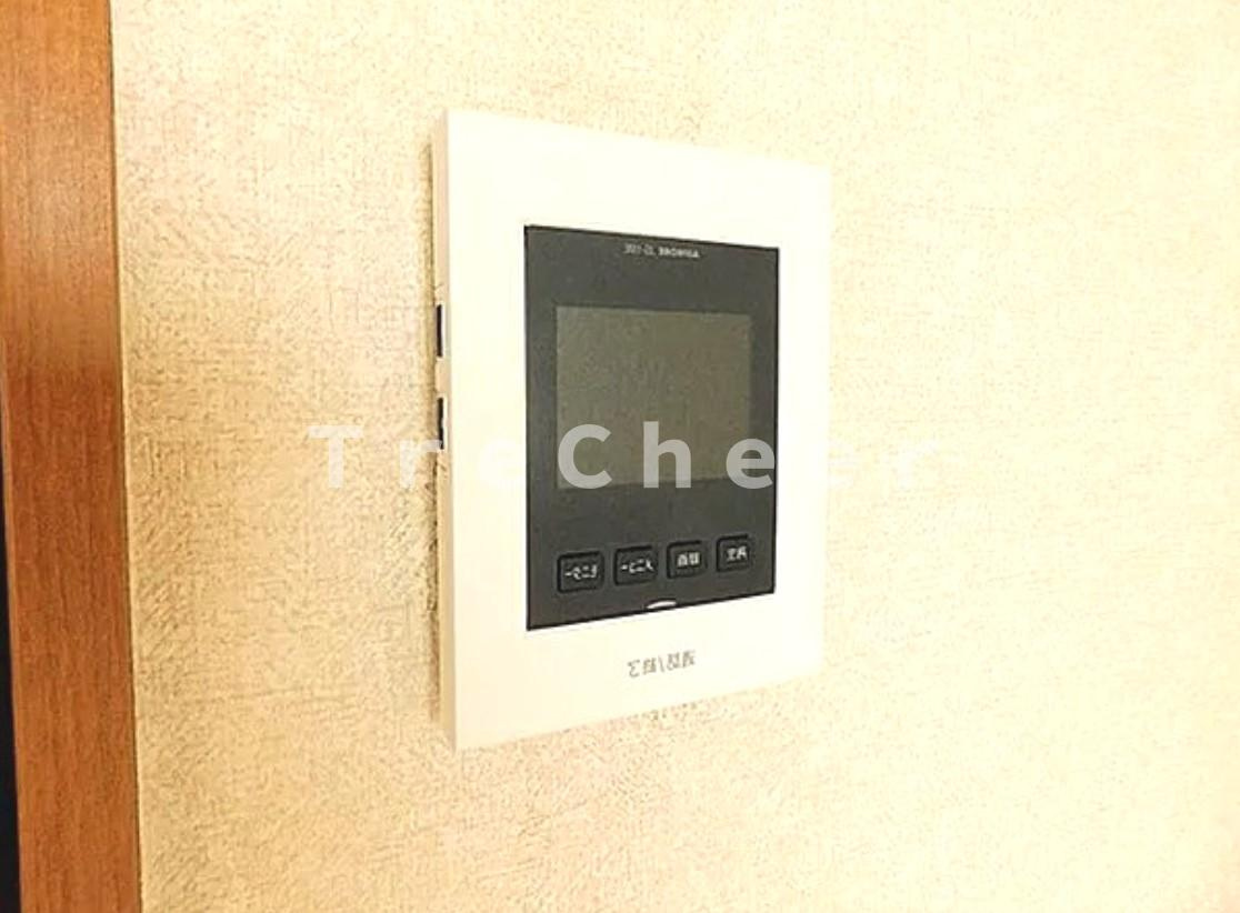 カールトンハウスのセキュリティ