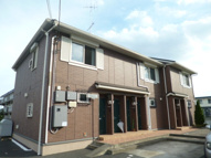 アクジスの画像