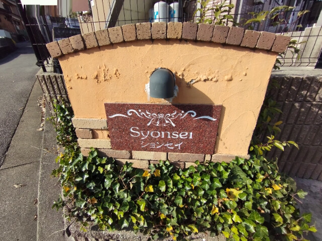 ションセイＡのその他