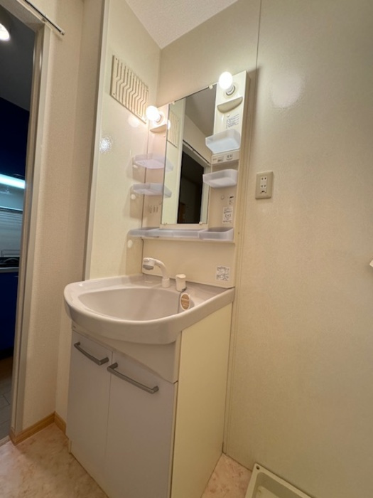 ションセイＡの洗面所