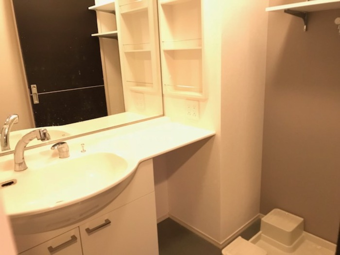 メゾンブランシュの洗面所|イメージ203号室の写真（反転あり）