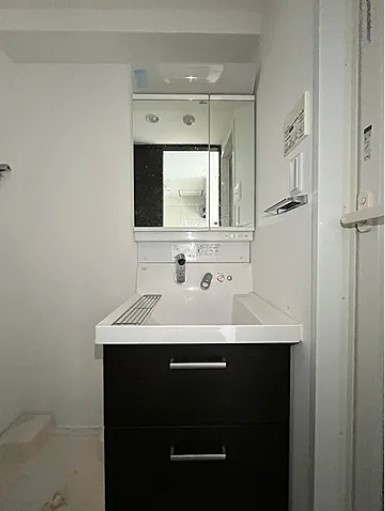 ハーモニーレジデンス東京イーストゲートの独立洗面台