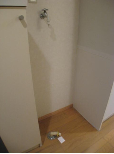 中野区大和町３丁目のアパートの洗面所