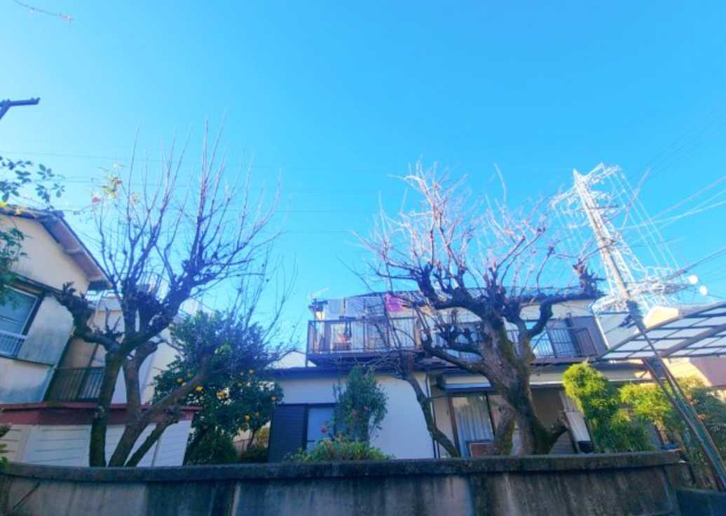 ロイヤルハイツ　礼金0　バストイレ別　角部屋の展望