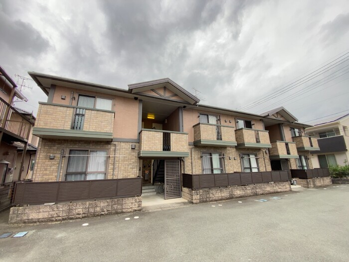 ウィルモアM＆M