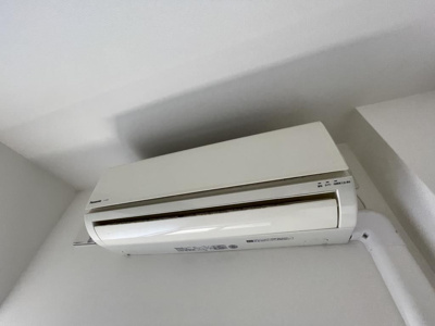 【その他】 | Vega(ヴィーガ)