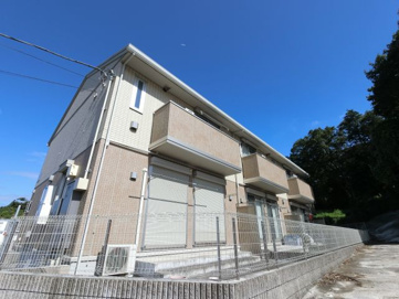 Peti natureの画像