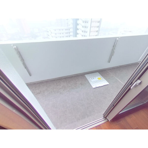 熊本市中央区大江１丁目の賃貸マンションのバルコニー