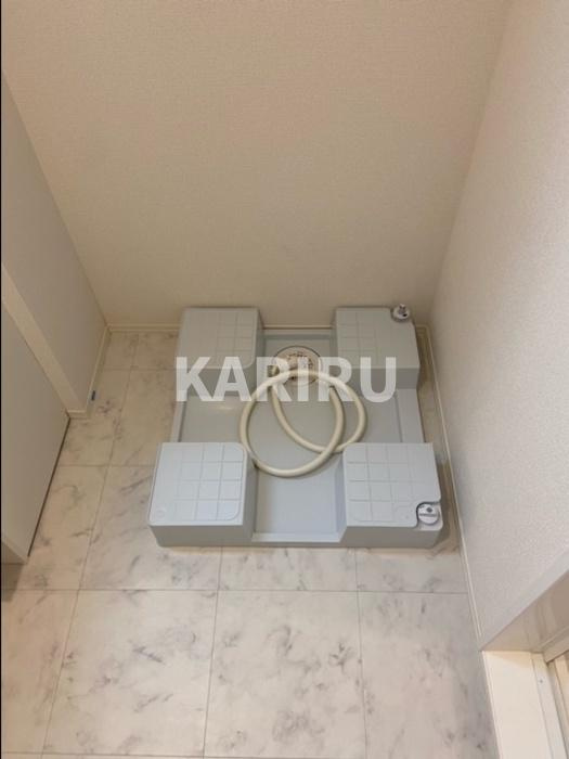 ルーナ　ジェーナのその他