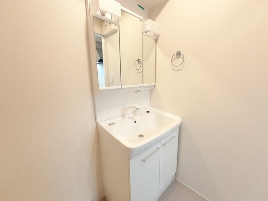 フラッツ・アイⅤの洗面所