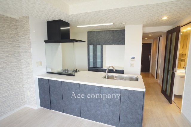 【キッチン】 | ルイシャトレ平野喜連II番館 | 視界を遮らない、ハイグレードオープンキッチン新調☆ガラスコンロガード付き☆キッチン下部、リビング側も収納になっています♪