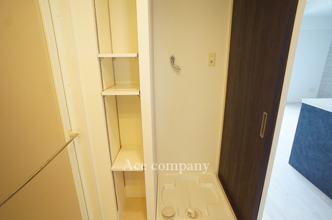 【ランドリースペース】 | ルイシャトレ平野喜連II番館 | 洗濯パン☆サイドに収納棚付きです♪