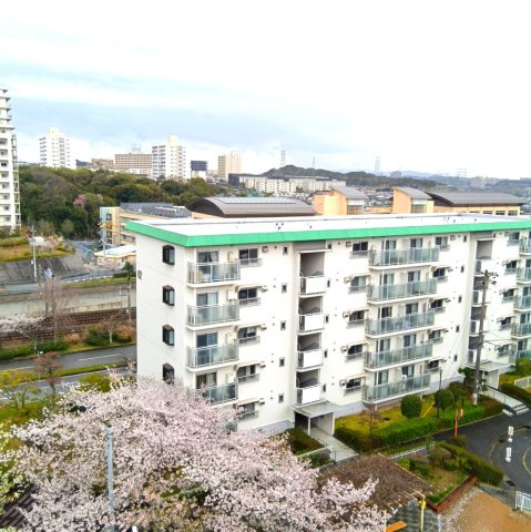 名谷13団地　48号棟の展望