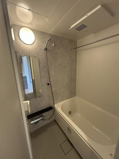 ブランシエスタ新丸子リバーフロントの浴室