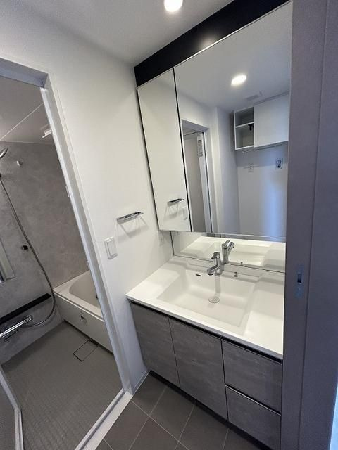 ブランシエスタ新丸子リバーフロントの洗面所