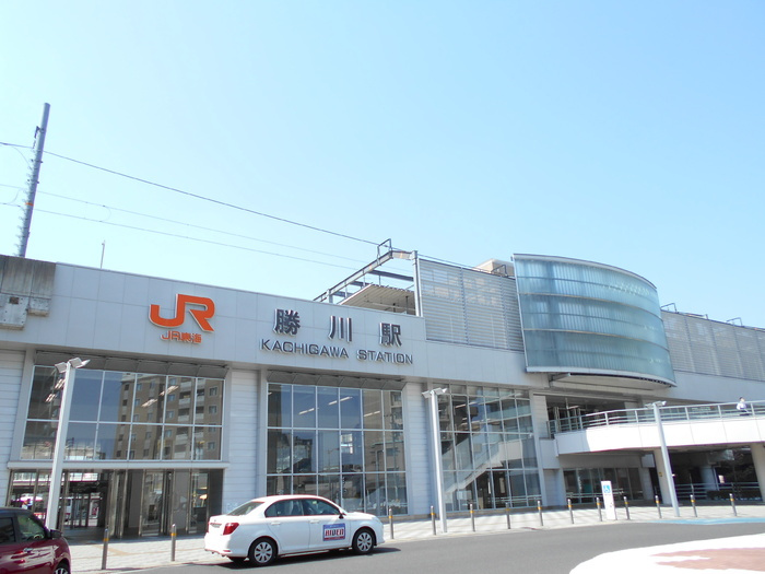 マーガレットのその他|JR中央本線 勝川駅 243ｍ