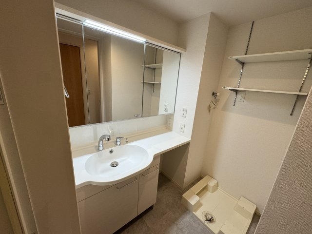 D-roomカトレアの独立洗面台