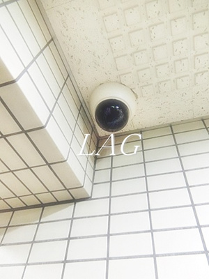 【セキュリティ】 | 日神パレステージ亀戸第２ | 防犯カメラです。