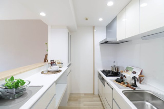 【キッチン】 | ダイアパレス井口リヴァージュ | 食洗器付きシステムキッチン